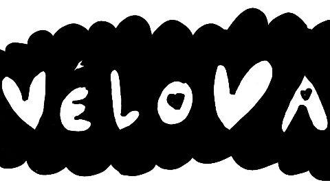 Viva la VéloVallée !'s banner